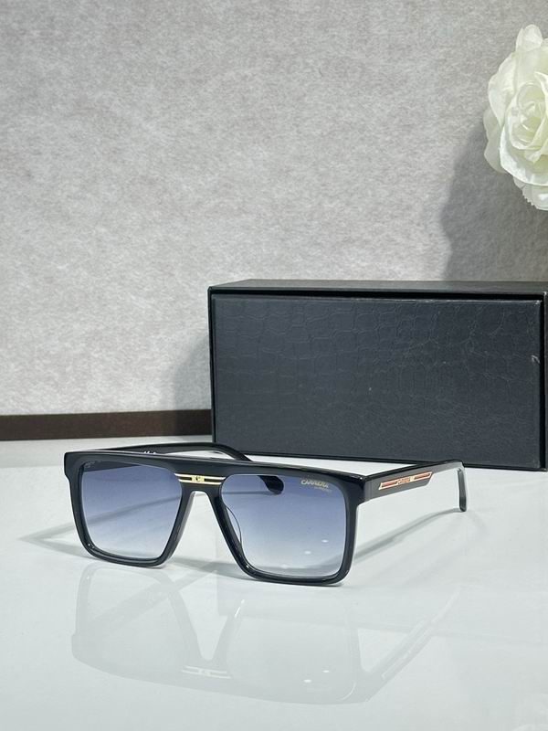 Carrera Glasses sms (33)