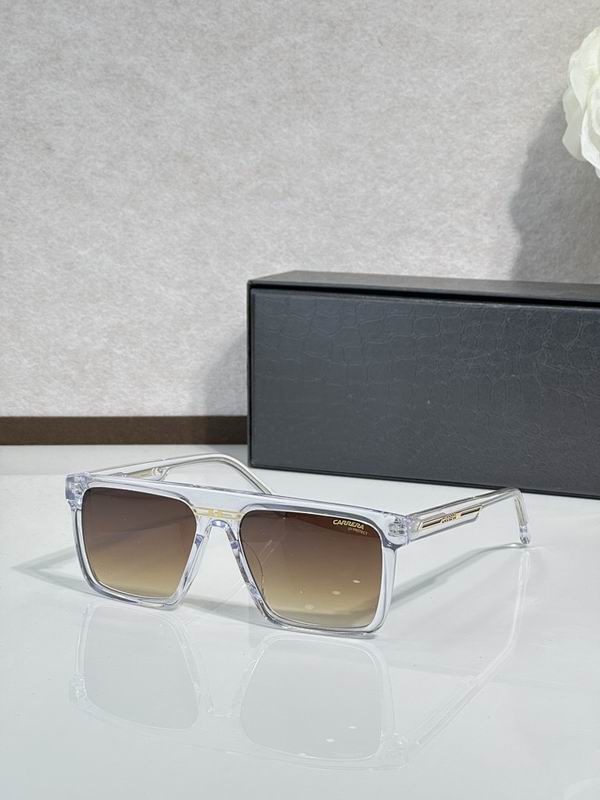 Carrera Glasses sms (36)