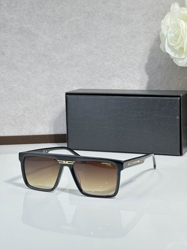 Carrera Glasses sms (37)