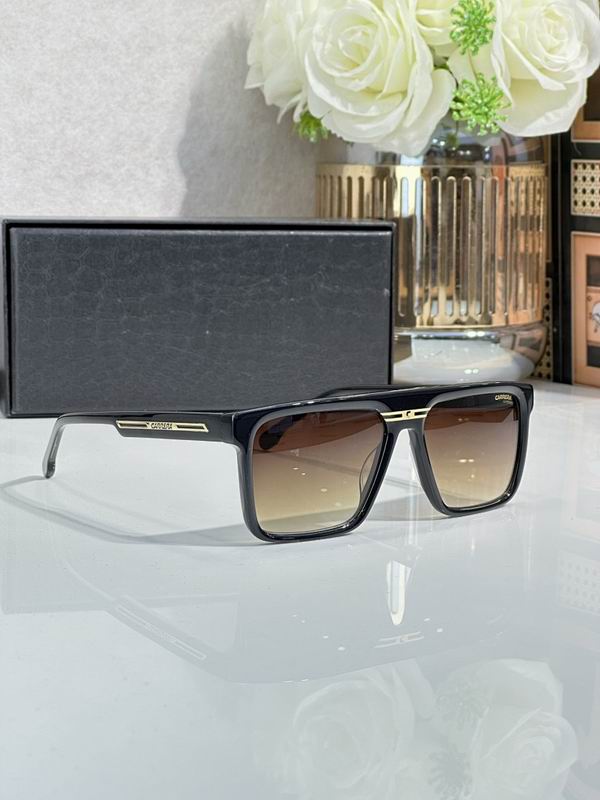 Carrera Glasses sms (38)