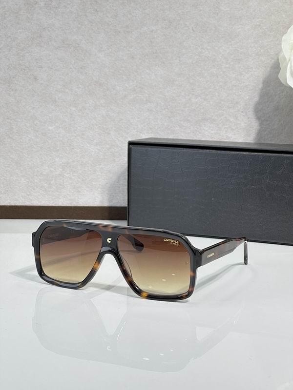 Carrera Glasses sms (42)