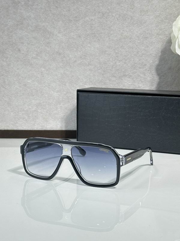 Carrera Glasses sms (44)