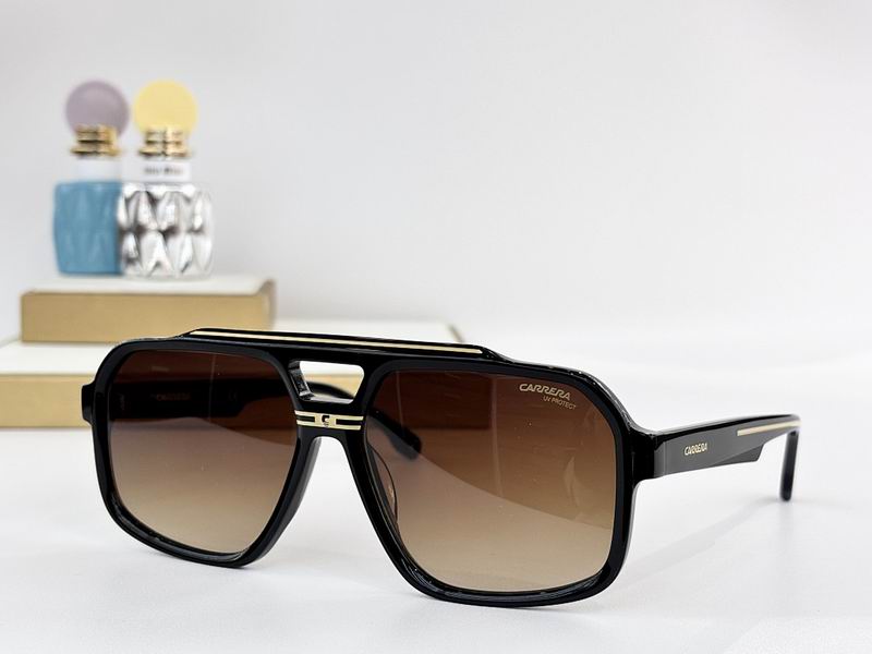 Carrera Glasses sms (54)