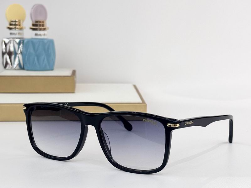Carrera Glasses sms (63)