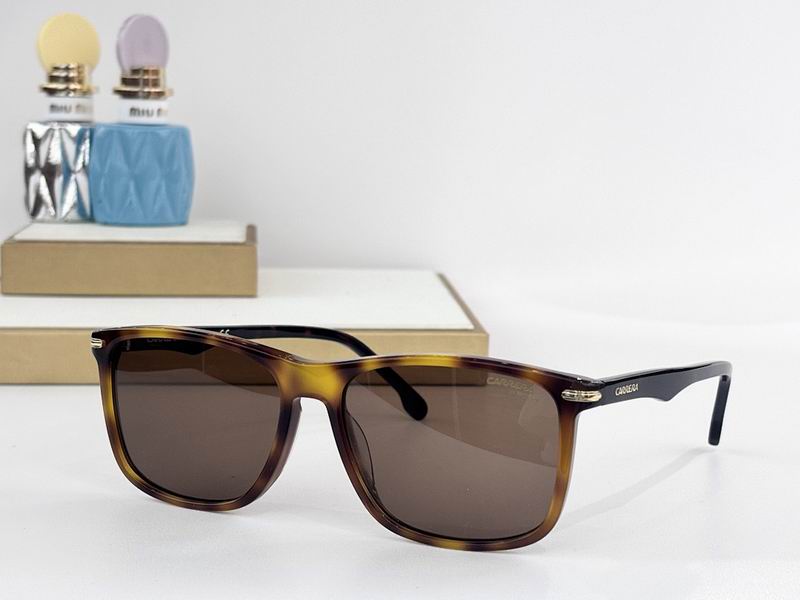 Carrera Glasses sms (65)