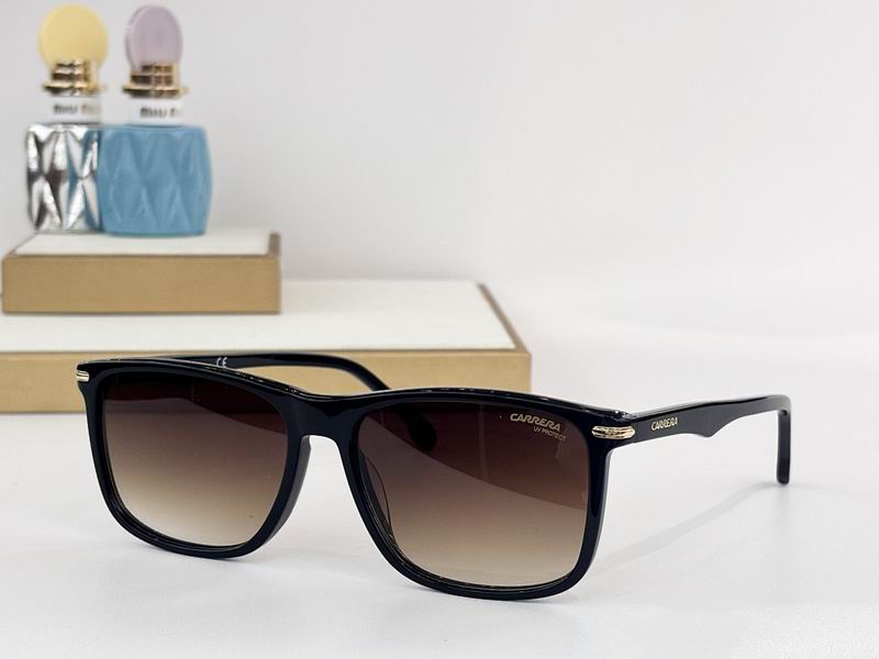 Carrera Glasses sms (66)