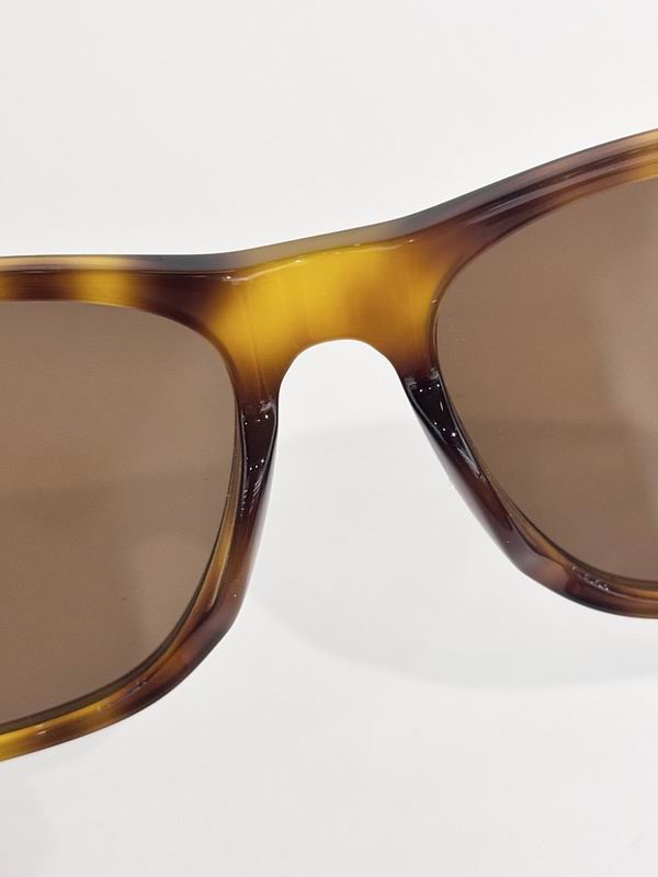 Carrera Glasses sms (69)