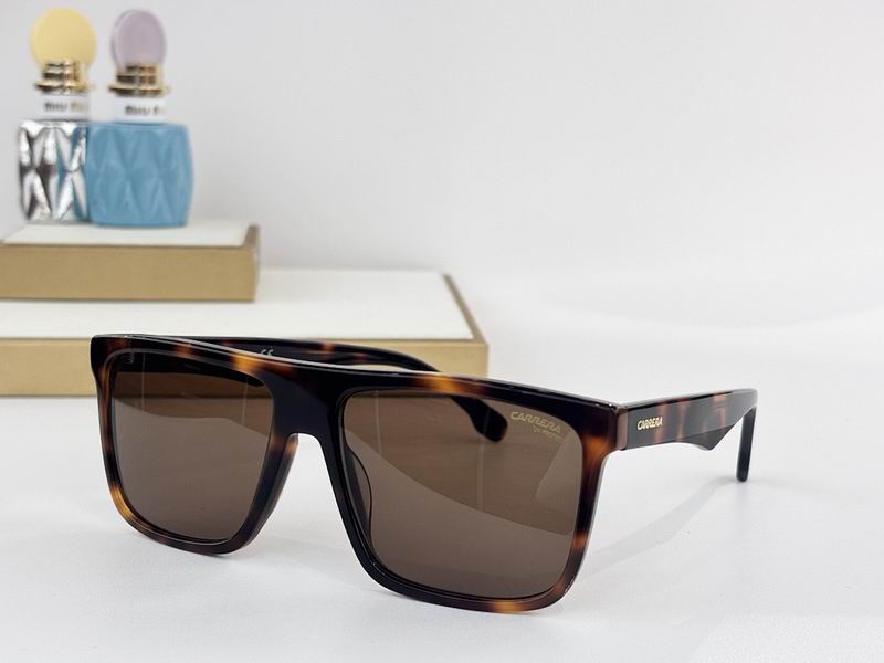 Carrera Glasses sms (75)