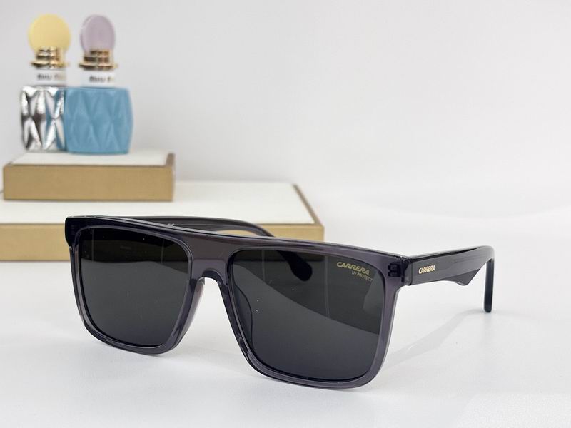 Carrera Glasses sms (76)