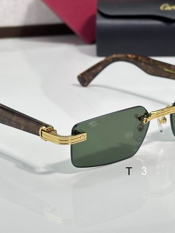 Cartier CT0537S 55 18-145 c07