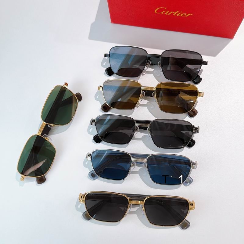 Cartier CT0538S 55 20-145 A08