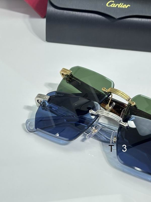 Cartier CT0539 55 19-145 c07