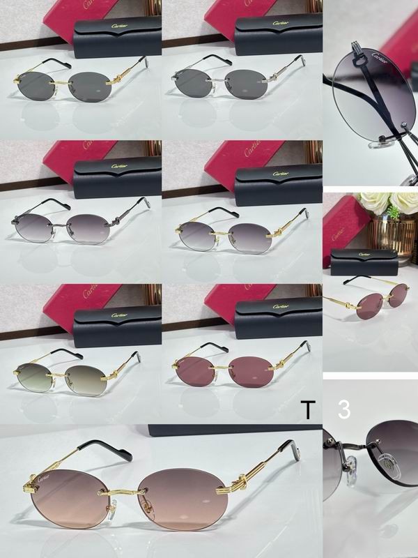 Cartier CT0579S 145 c10