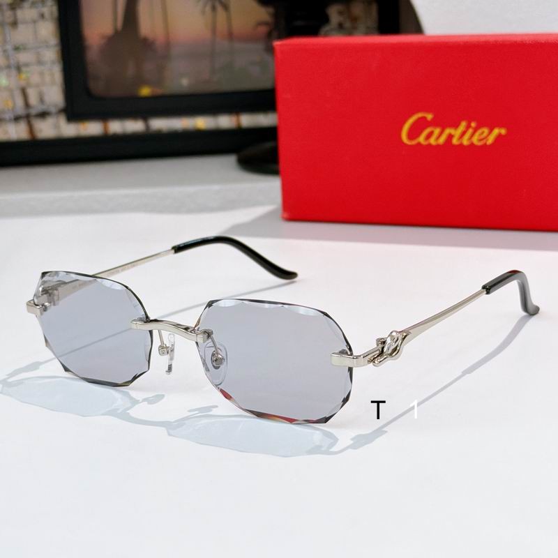 Cartier CT0679S 135 a08