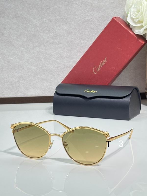 Cartier CT2017S 61 18-145 c05