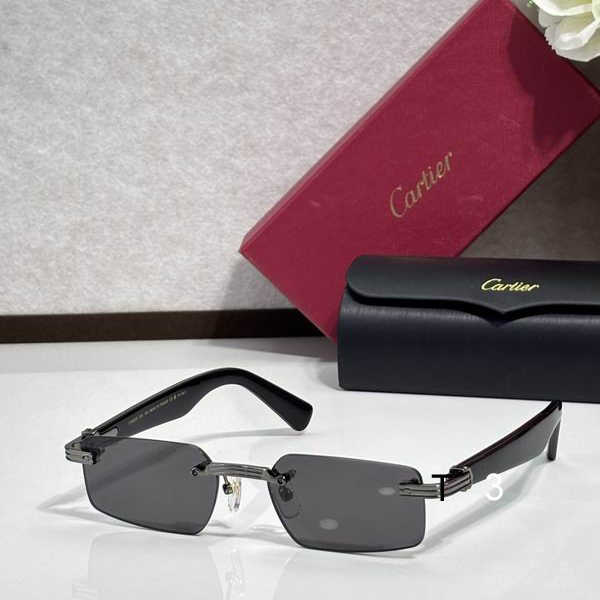 Cartier CT0537S 55 18-145 c01