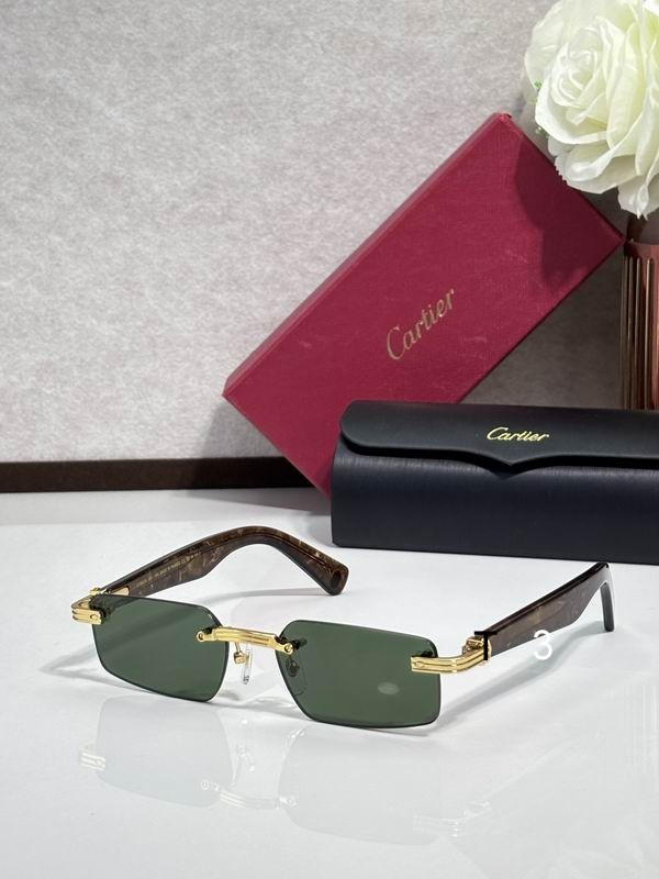 Cartier CT0537S 55 18-145 c02