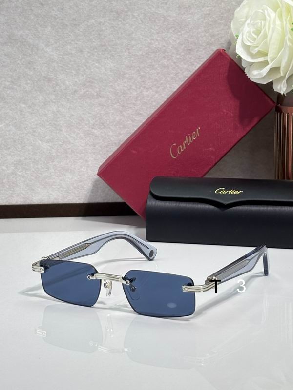 Cartier CT0537S 55 18-145 c03