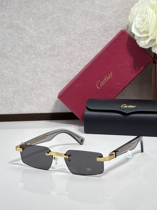 Cartier CT0537S 55 18-145 c04