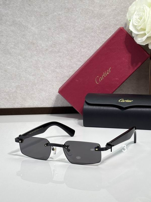 Cartier CT0537S 55 18-145 c05
