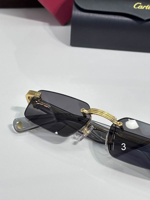 Cartier CT0537S 55 18-145 c06