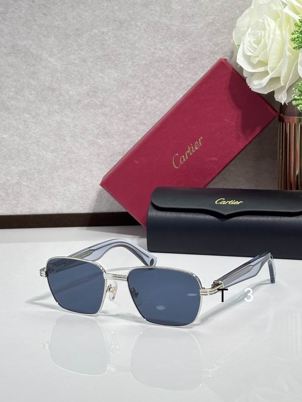 Cartier CT0538 55 17-145 c1