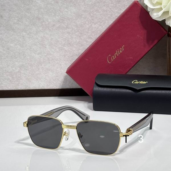 Cartier CT0538 55 17-145 c2