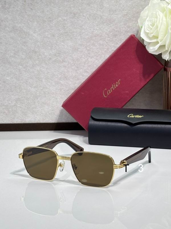 Cartier CT0538 55 17-145 c6