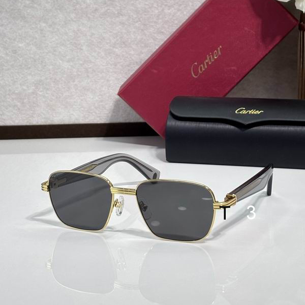 Cartier CT0538S 55 17-145 c02