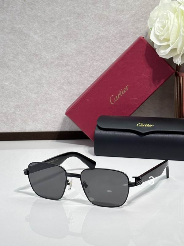 Cartier CT0538S 55 17-145 c04