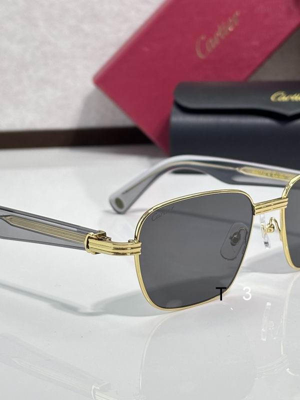 Cartier CT0538S 55 17-145 c08