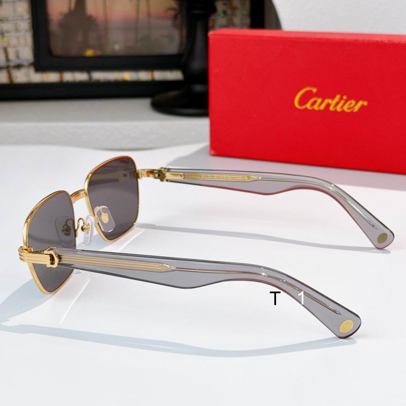Cartier CT0538S 55 20-145 A07