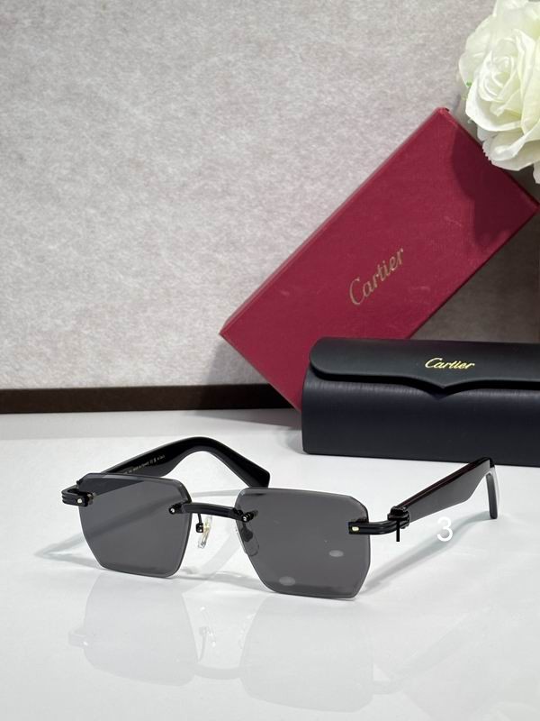 Cartier CT0539 55 19-145 c01