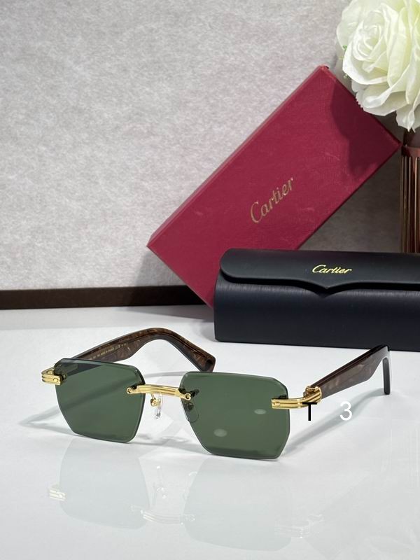 Cartier CT0539 55 19-145 c03