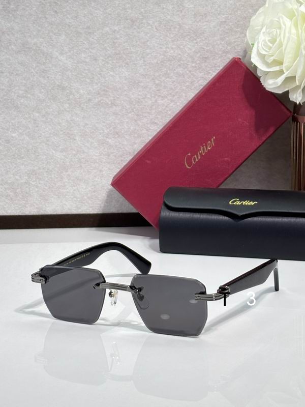 Cartier CT0539 55 19-145 c04