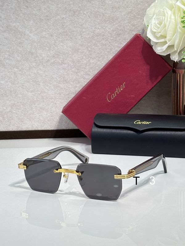 Cartier CT0539 55 19-145 c05