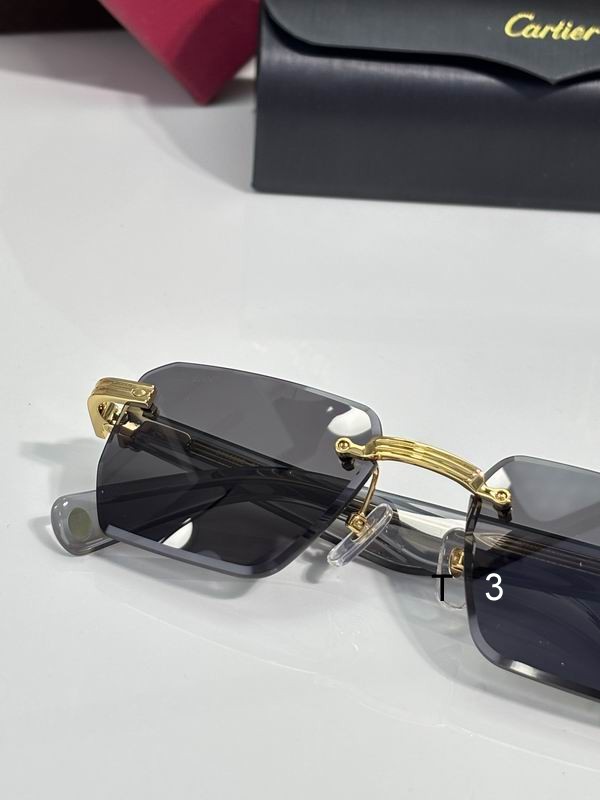 Cartier CT0539 55 19-145 c06