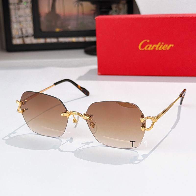 Cartier CT0564O 54 19-140 a02