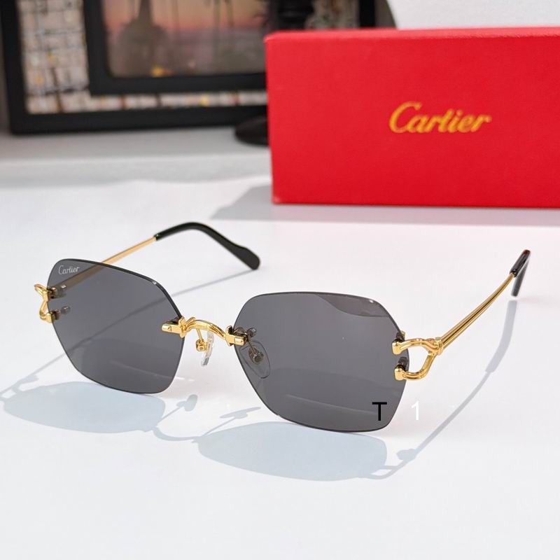 Cartier CT0564O 54 19-140 a03