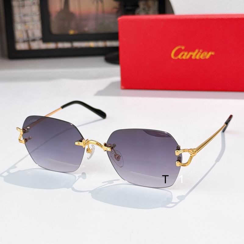 Cartier CT0564O 54 19-140 a04