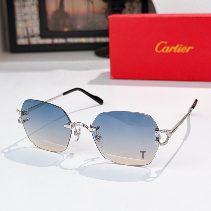 Cartier CT0564O 54 19-140 a06