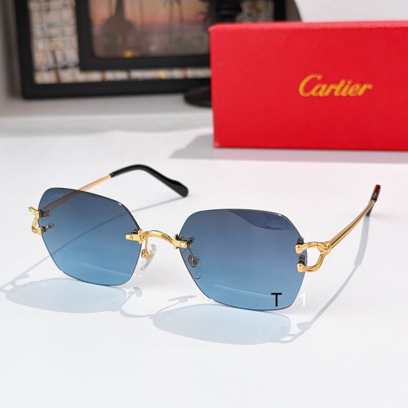 Cartier CT0564O 54 19-140 a07