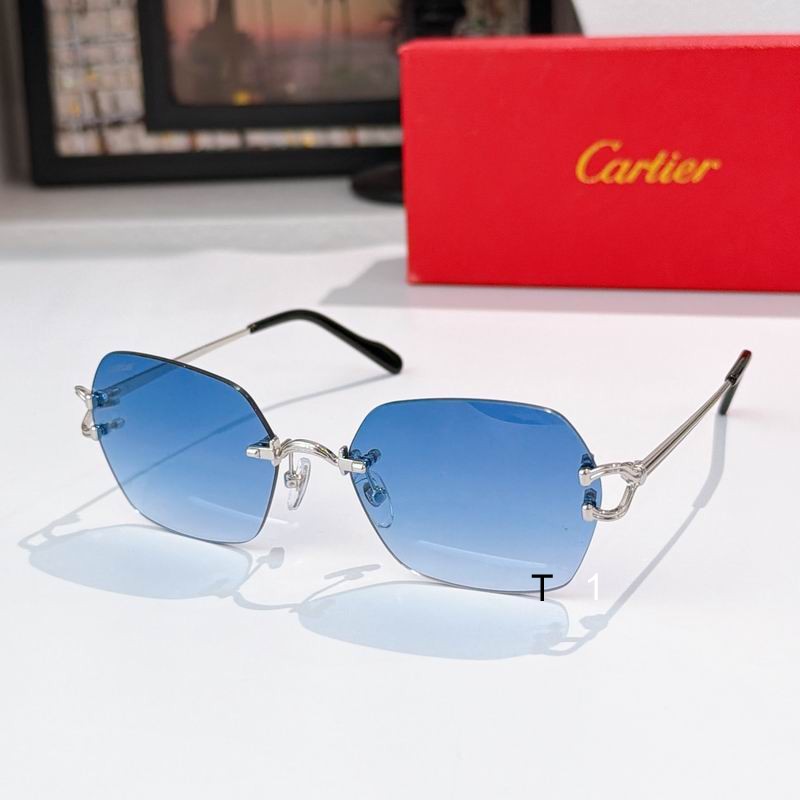 Cartier CT0564O 54 19-140 a08