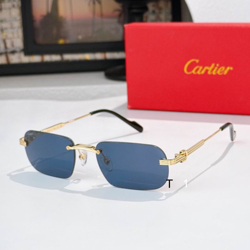 Cartier CT0577S 55 18-145 A01