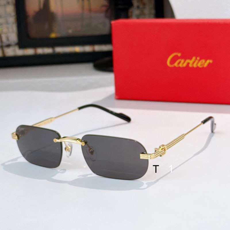 Cartier CT0577S 55 18-145 A05