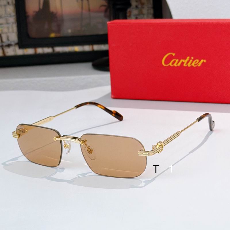 Cartier CT0577S 55 18-145 A06