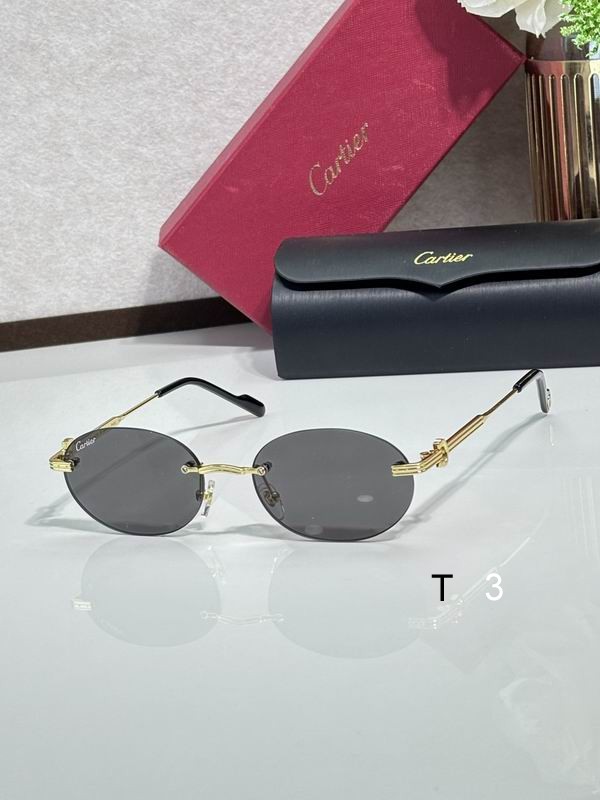 Cartier CT0579S 145 c01
