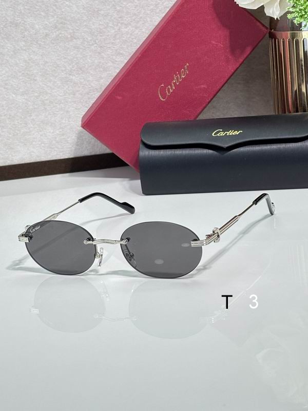 Cartier CT0579S 145 c02