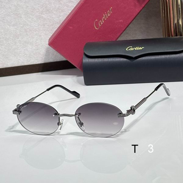 Cartier CT0579S 145 c03