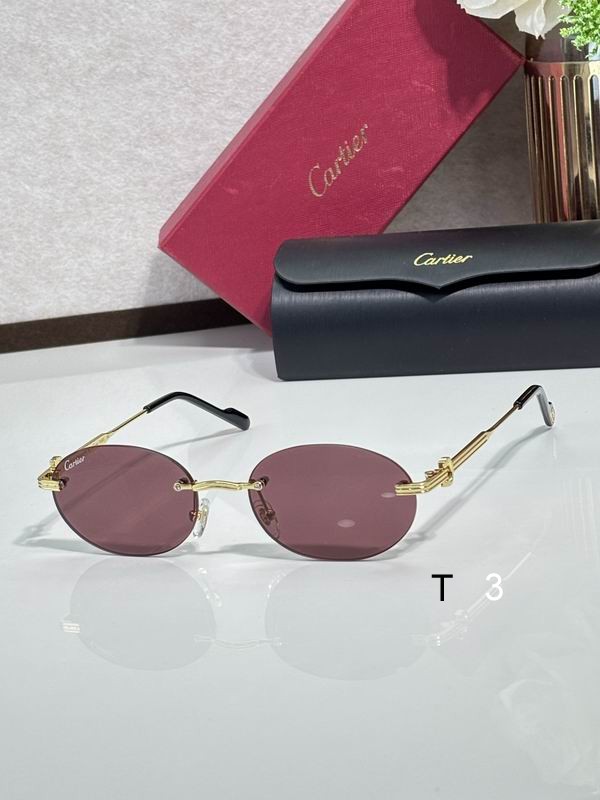 Cartier CT0579S 145 c06